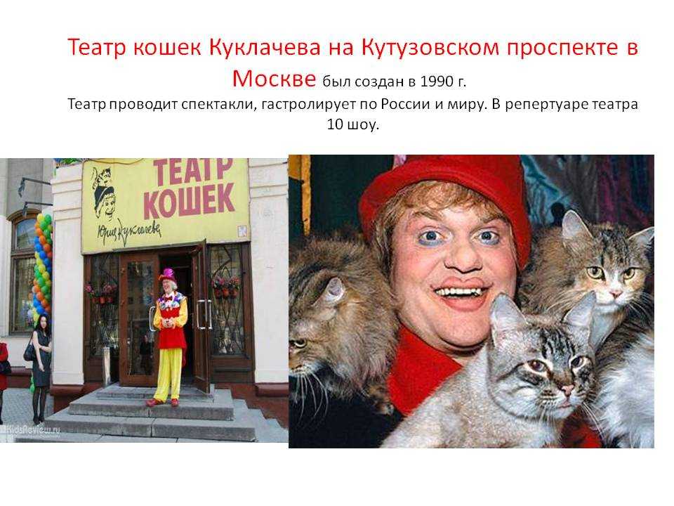Театр кошек юрия куклачёва