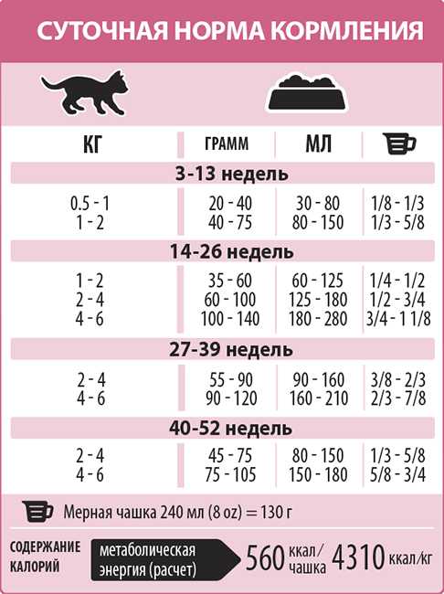 Как и чем кормить котенка в 2 месяца: меню для малышей разных пород