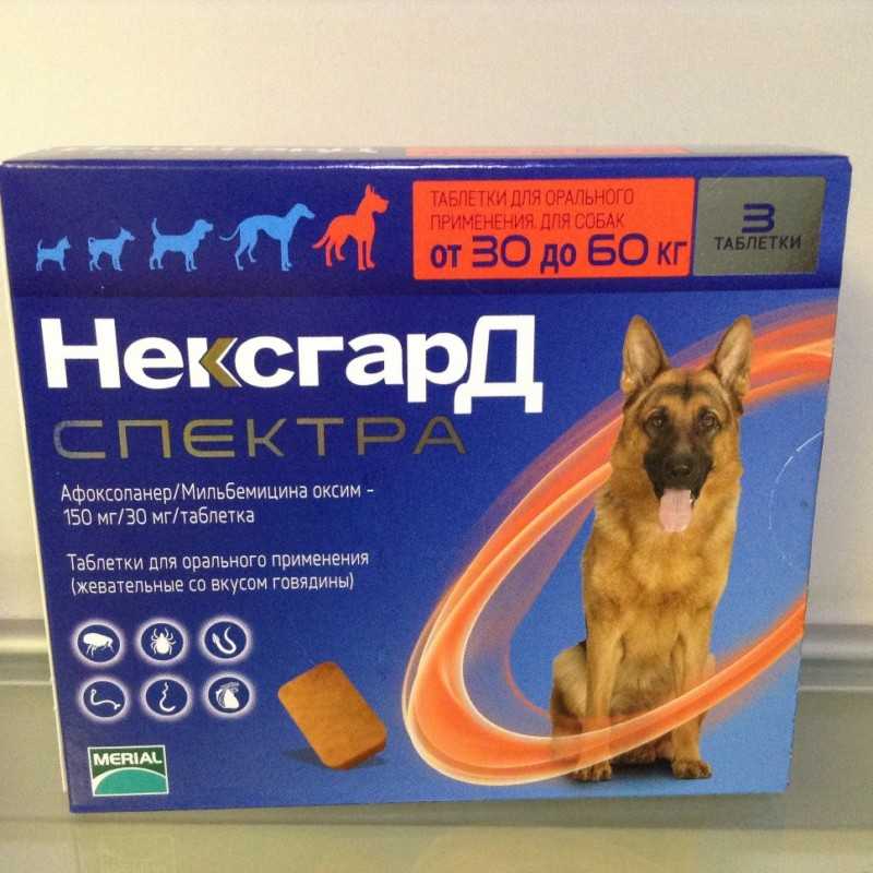 Фронтлайн нексгард (nexgard), таблетки для собак от блох и клещей
