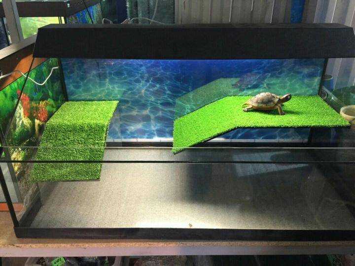 Пошаговая инструкция как сделать аквариум своими руками в домашних условиях для черепахи. Размеры акватеррариума и необходимые инструменты и материалы.