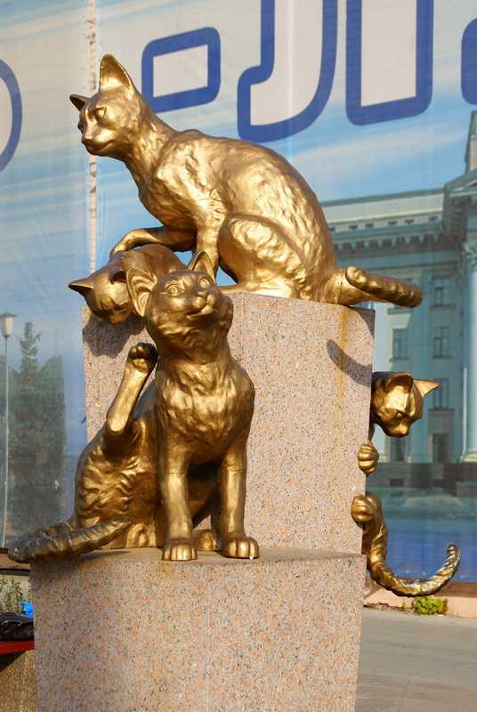 Сквер сибирских кошек –  памятник, посвященный усатым спасительницам ленинграда :: syl.ru