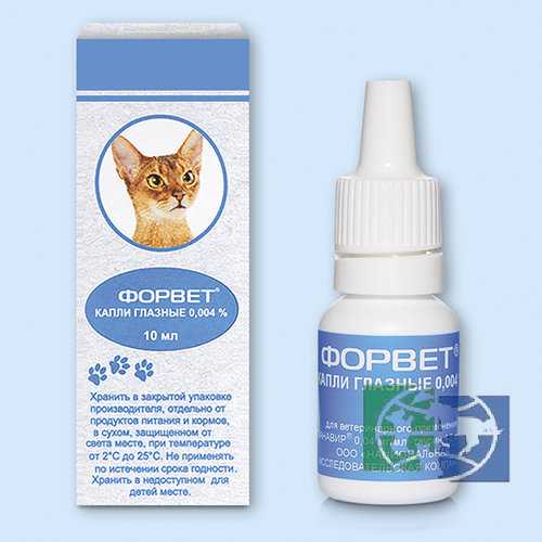 Форвет: лекарство для вашей кошки  успешно апробировано на людях