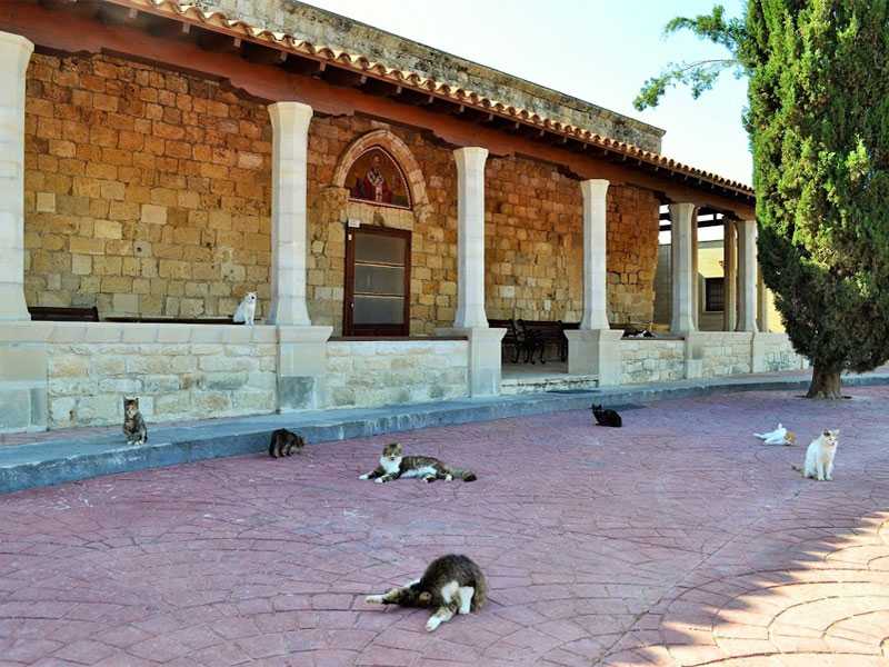 Монастырь святителя николая (кошачий монастырь)