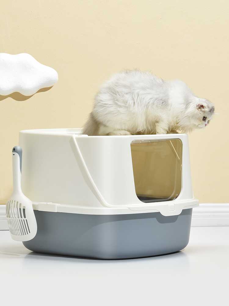 Совет как выбрать наполнитель для кошачьего туалета, какой вид лучше