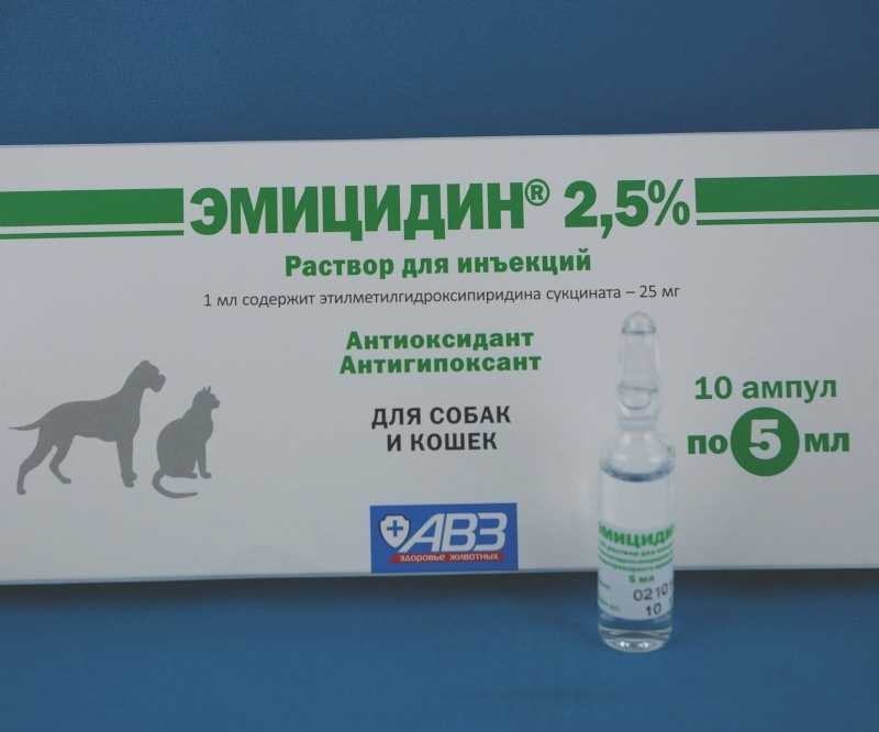 Эмицидин для кошек: лекарство от старости