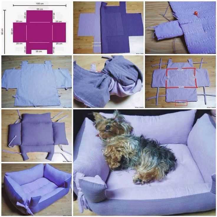 Лучшие выкройки одежды для кошек и котов + инструкции по пошиву своими руками