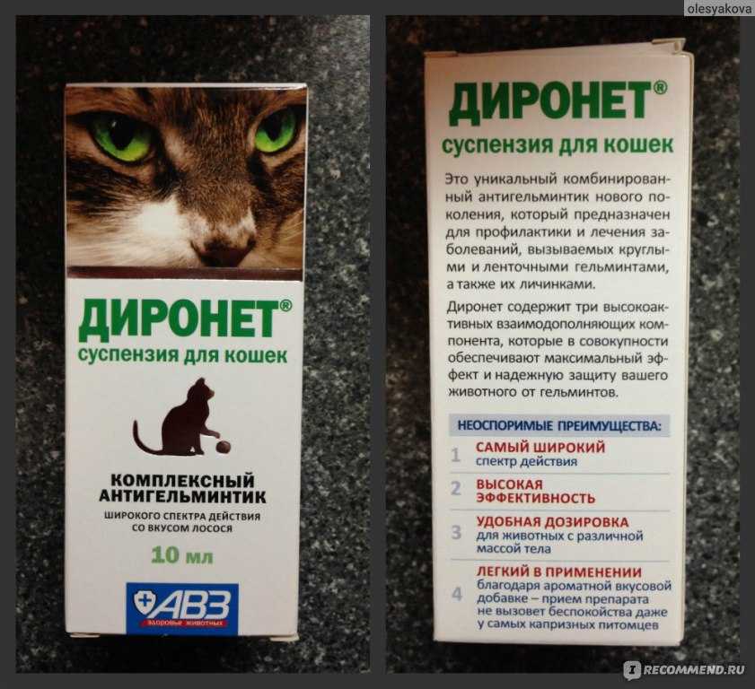 Тетравит для кошек: обзор препарата
