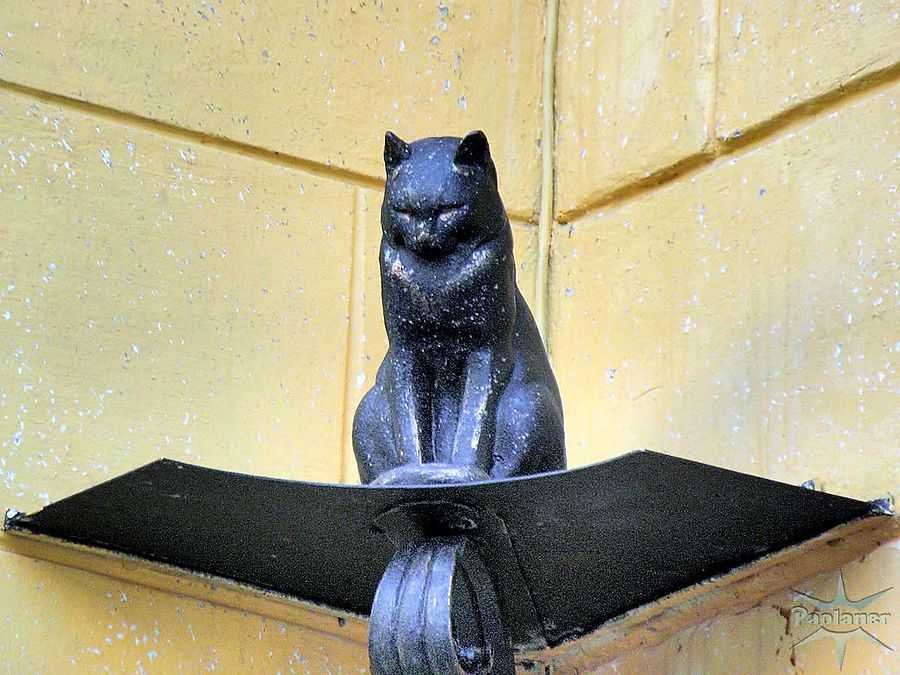 Памятники кошкам с необычной историей | гостиница для кошек