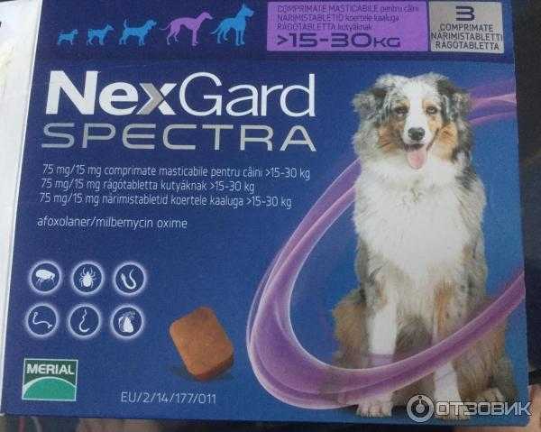 Нексгард спектра для собак: инструкция по применению, действие, отзывы специалистов