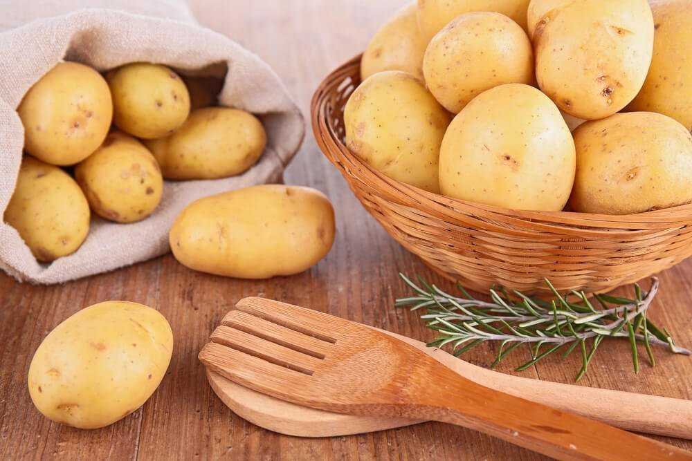 Можно ли давать джунгарским хомякам сырую картошку