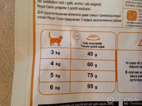 Как отучить кота от корма