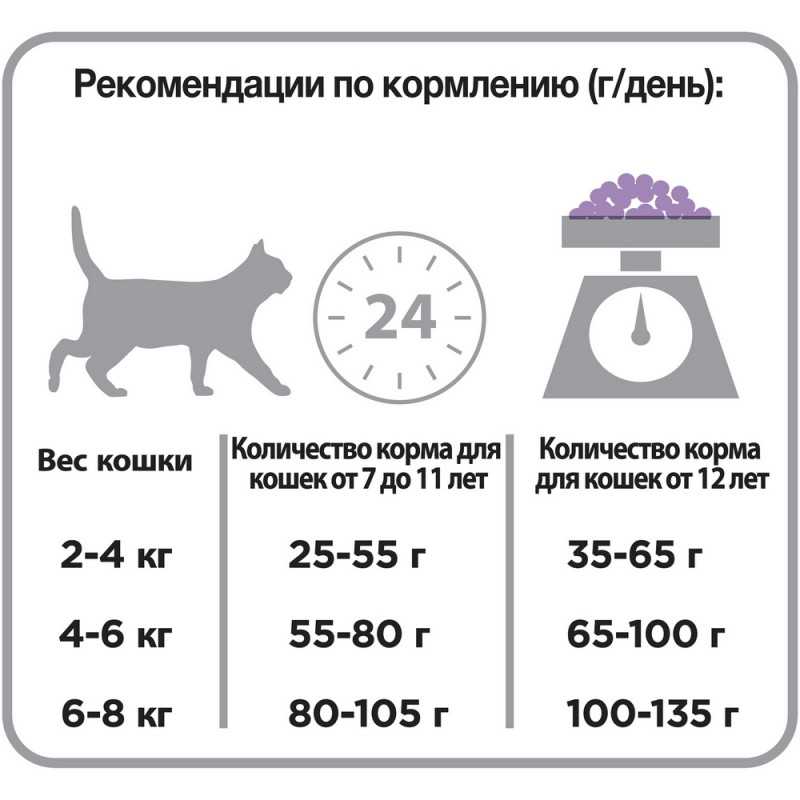 🤔сколько пакетиков корма давать кошке в день: нормы