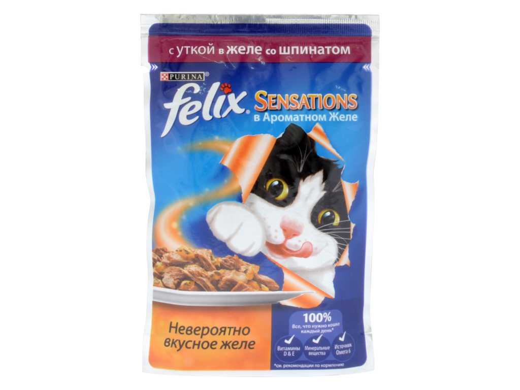 Обзор корма для кошек «феликс»
