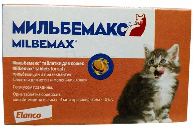 Лучшие глистогонные препараты для кошек: описание и стоимость таблеток, суспензий и капель для лечения и профилактики внутренних паразитов
