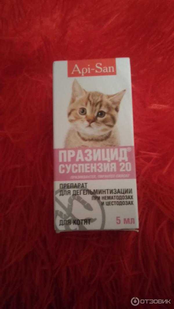 Празицид для кошек - инструкция и характеристика препарата - kotiko.ru