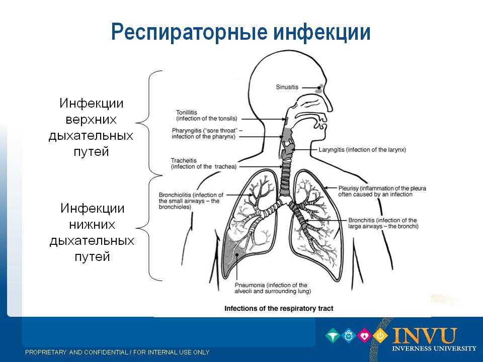 Чем отличается поражение лёгких при covid-19 от обычной пневмонии, и когда нужно идти на кт лёгких?