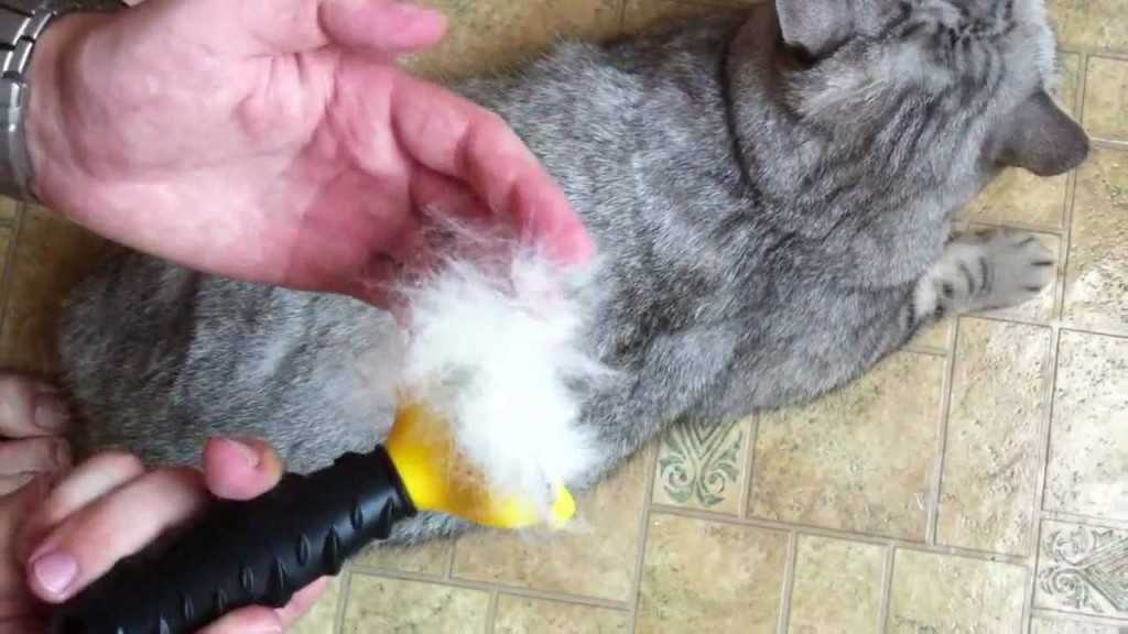 Как пользоваться колтунорезом для кошек: раскладываем по полочкам