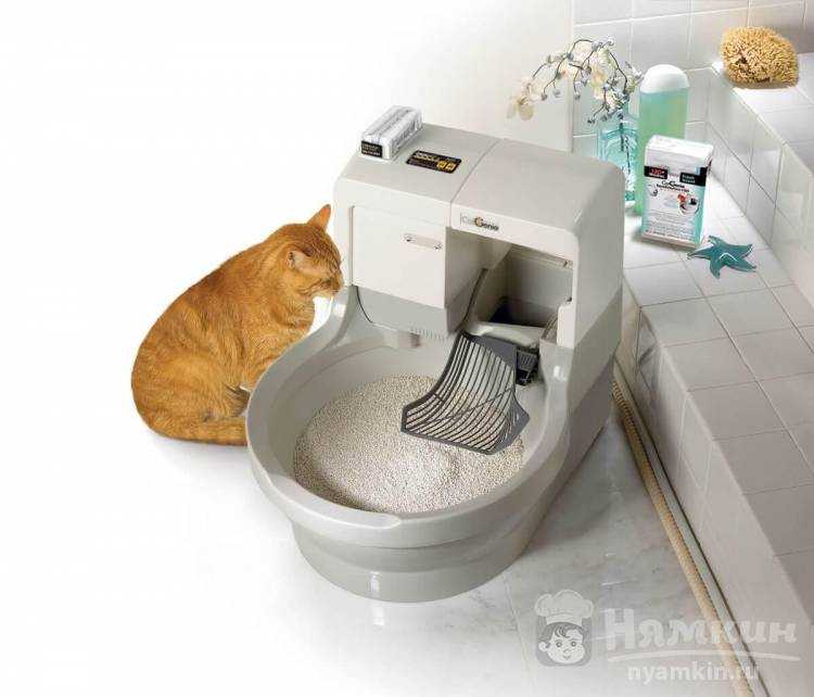 Топ-7 лучших туалетов (лотков) для кошек