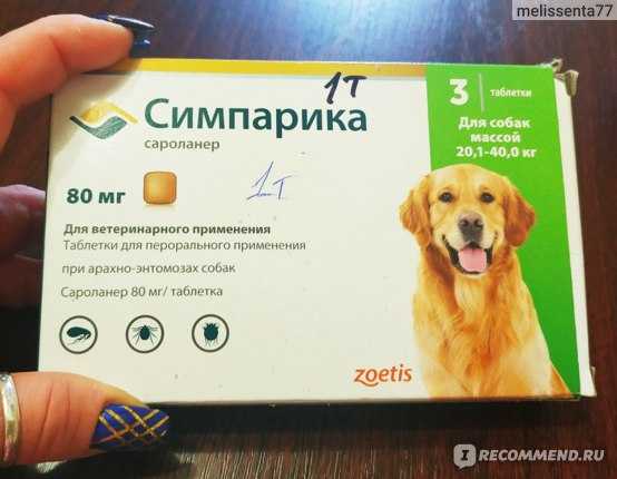 🐩обзор лучших таблеток и капель от клещей для собак на 2021 год