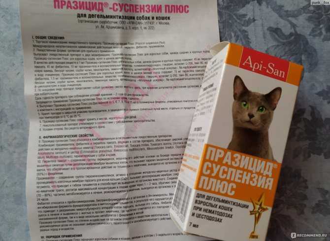 Празицид для кошек – инструкция и характеристика препарата