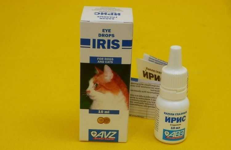 Габапентин для кошек – лекарство от судорог