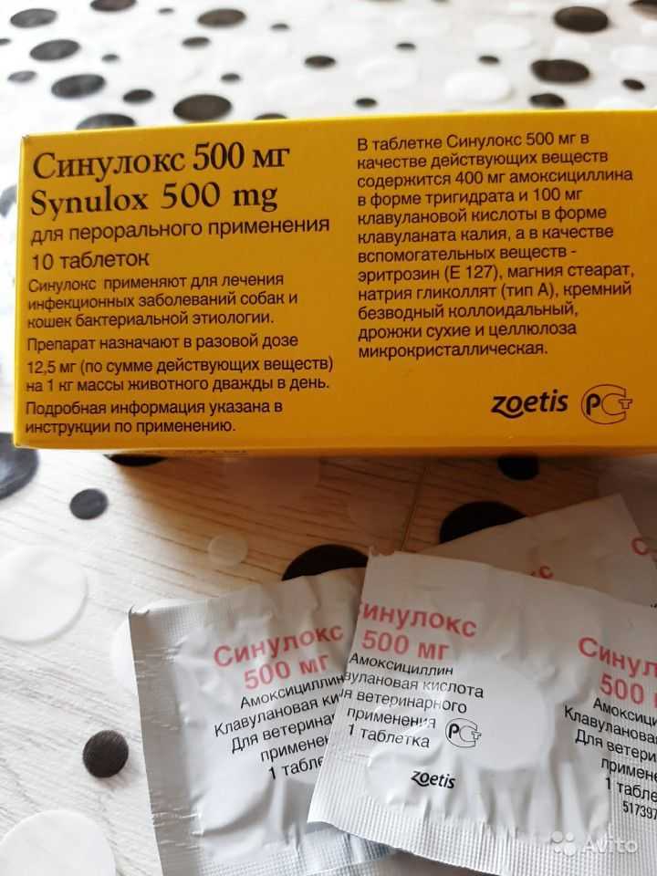 Синулокс 250 мг, 10 шт