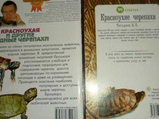 Что едят красноухие черепахи: рацион питания в домашних условиях и правила выбора хорошего корма