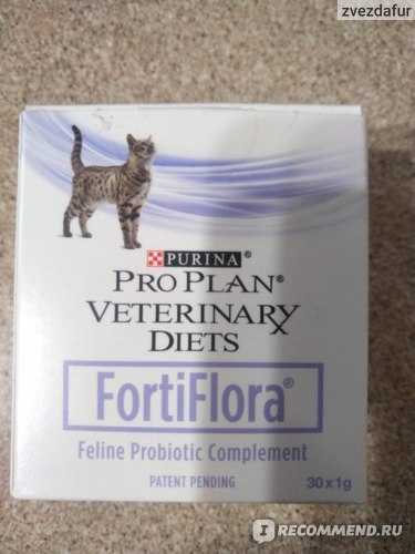 Fortiflora для собак и кошек: отзывы, инструкция по применению, цена