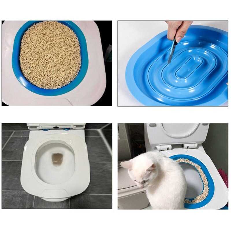 Как приучить кошку ходить в туалет на унитаз: 11 шагов
