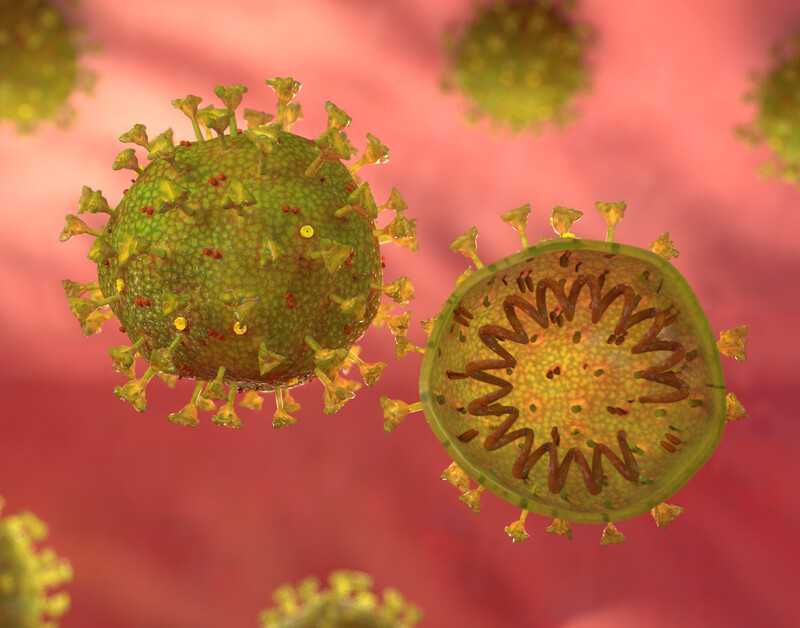Правильная помощь при кишечном коронавирусе | стимбифид плюс