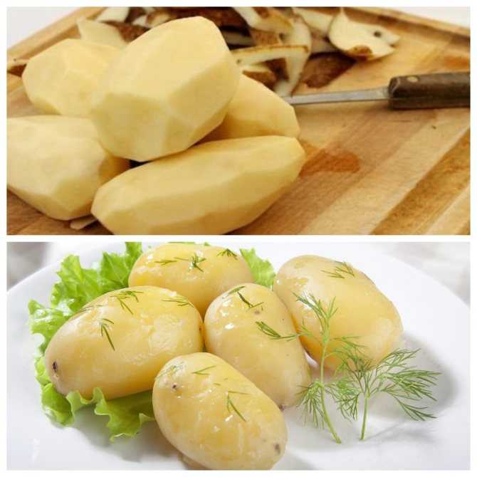 Можно ли хомякам картофель: можно ли давать сырую и варёную картошку джунгарским, сирийским и другим породам