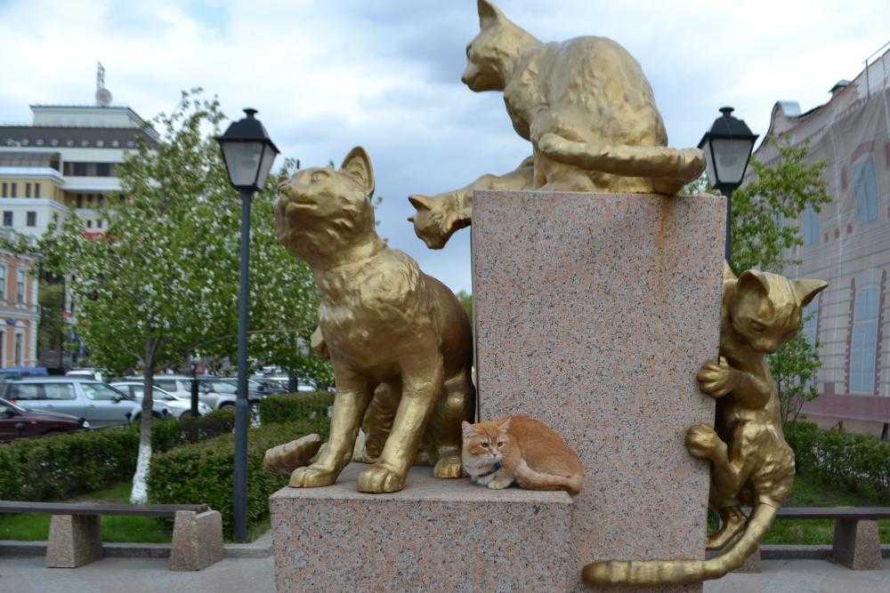 Сквер сибирских кошек в тюмени: описание, как добраться, фото