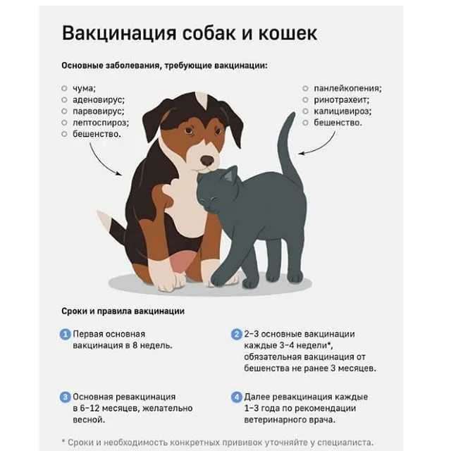 Wsavа  методические рекомендации ветеринарным врачам и владельцам собак.